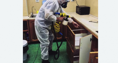Дезинсекция квартиры. Красногвардейская