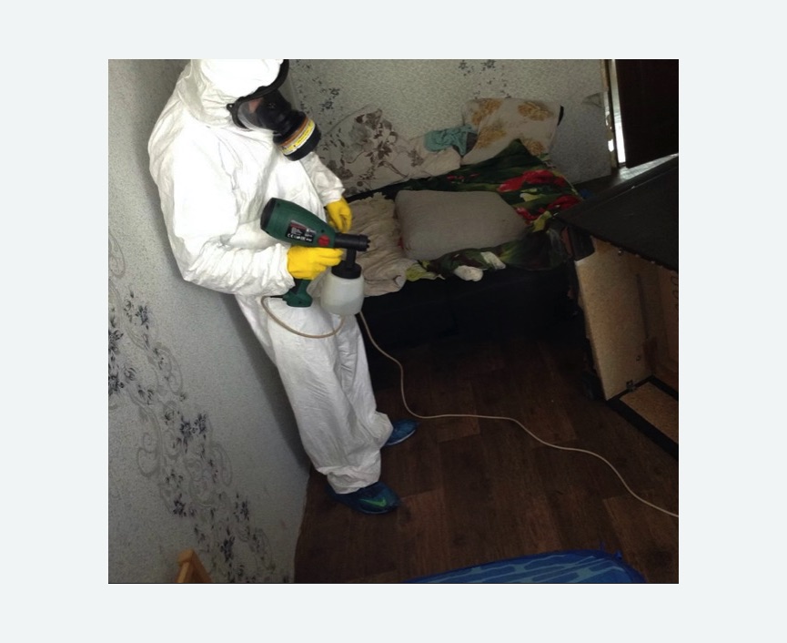 Обработка от насекомых Красногвардейская метро Москвы Обработка квартиры от насекомых