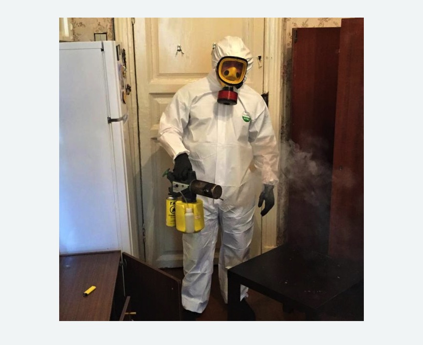 уничтожение муравьев в квартире уничтожение муравьев в квартире Красногвардейская метро Москвы